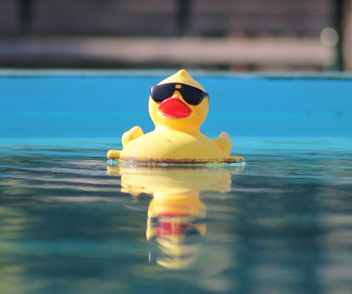 42's first step: surviving the piscine